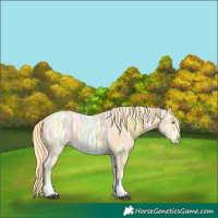 Horse Color:Palomino Ice Sabino Rabicano