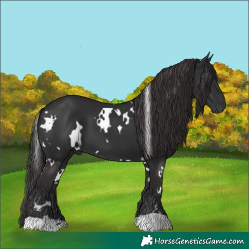 Horse Color:White Spotted Liver Chestnut 