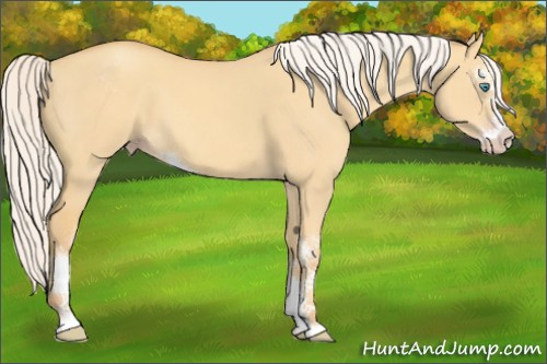 Horse Color:Silver Classic Cream Champagne Dun Sabino 