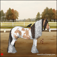 Horse Color:White Spotted Bay Dun Tobiano
