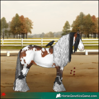 Horse Color:White Spotted Brown Frame 