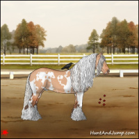 Horse Color:White Spotted Silver Bay Dun