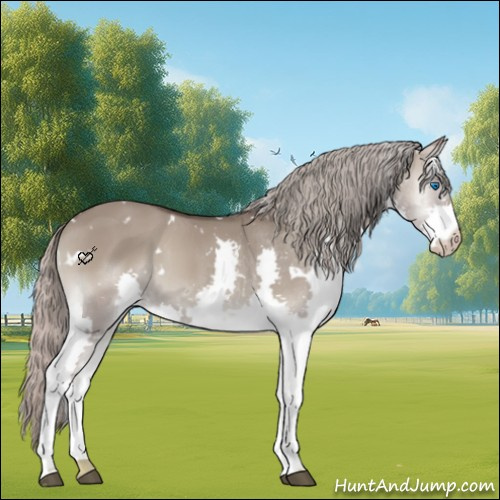 Horse Color:White Spotted Silver Grullo Onyx Splash