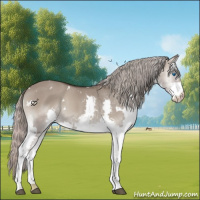 Horse Color:White Spotted Silver Grullo Onyx Splash