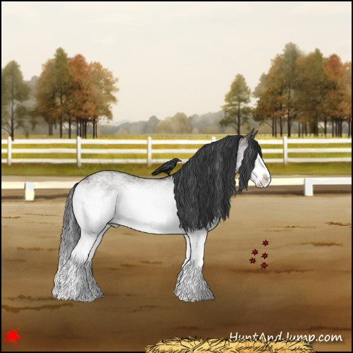 Horse Color:White Spotted Grullo Splash