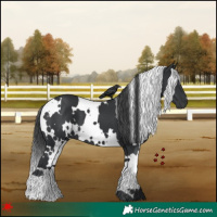 Horse Color:White Spotted Black 