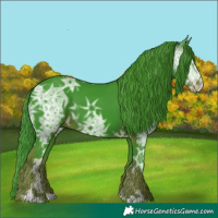 Horse Color:Watercolor Liver Chestnut Ice Sabino 