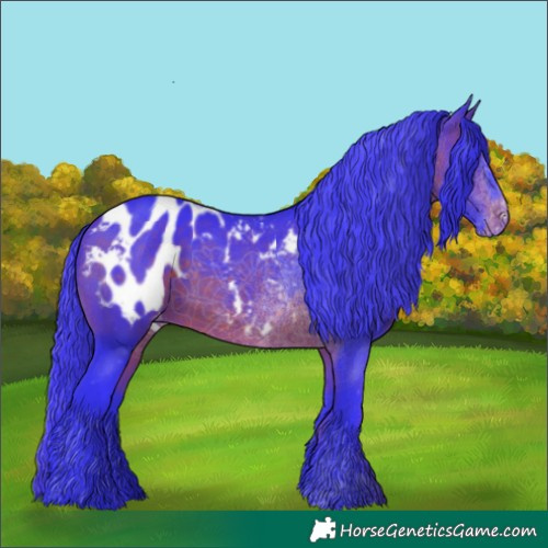 Horse Color:Watercolor Brown Blanket