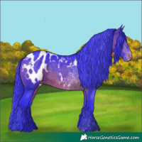 Horse Color:Watercolor Brown Appaloosa 