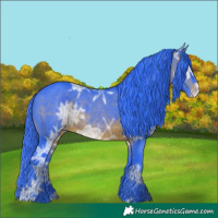 Horse Color:Watercolor Brown Ice Appaloosa Rabicano 