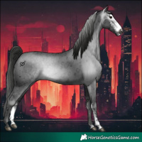 Horse Color:Gray Black Ice Sabino 