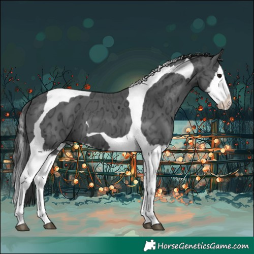 Horse Color:Black Ice Splash Tobiano 