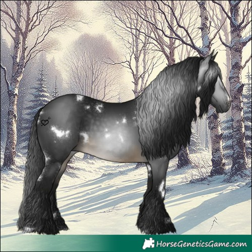 Horse Color:Gray White Spotted Buckskin Sabino