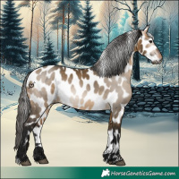 Horse Color:Gray Buckskin Dun Near Leopard 