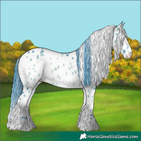 Horse Color:Watercolor Brown Onyx Appaloosa 