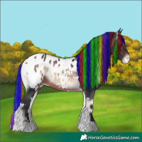 Horse Color:Painted White Spotted Brown Onyx Appaloosa 