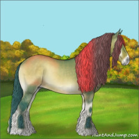 Horse Color:Watercolor Brown Onyx Rabicano 