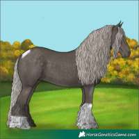Horse Color:Silver Black Tobiano 