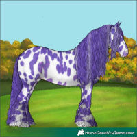 Horse Color:Watercolor Brown Appaloosa 