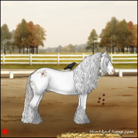Horse Color:White Spotted Silver Black Rabicano