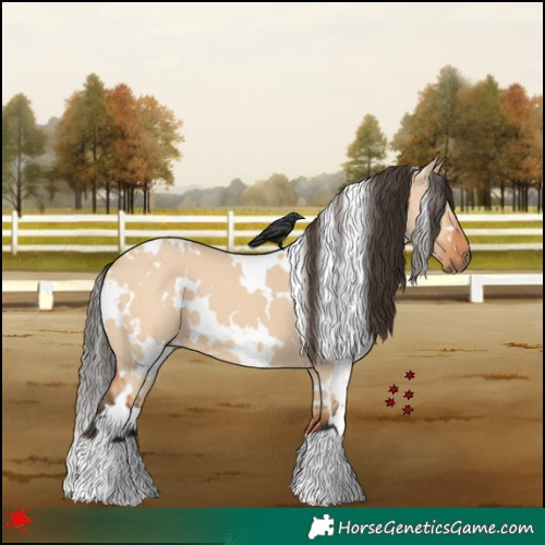 Horse Color:White Spotted Bay Dun 