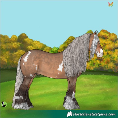 Horse Color:White Spotted Silver Brown Dun Sabino 