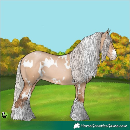 Horse Color:White Spotted Silver Brown Pearl Dun Sabino 