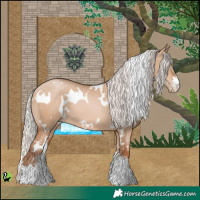 Horse Color:White Spotted Silver Brown Pearl Dun Sabino 