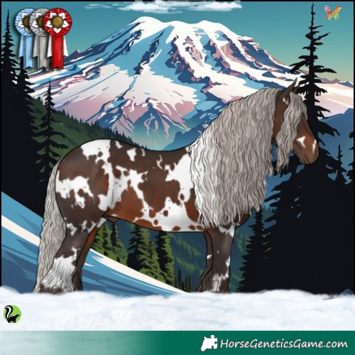 Horse Color:White Spotted Silver Brown 