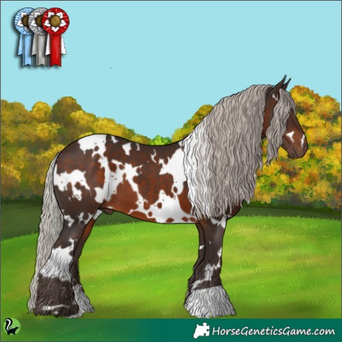 Horse Color:White Spotted Silver Brown 