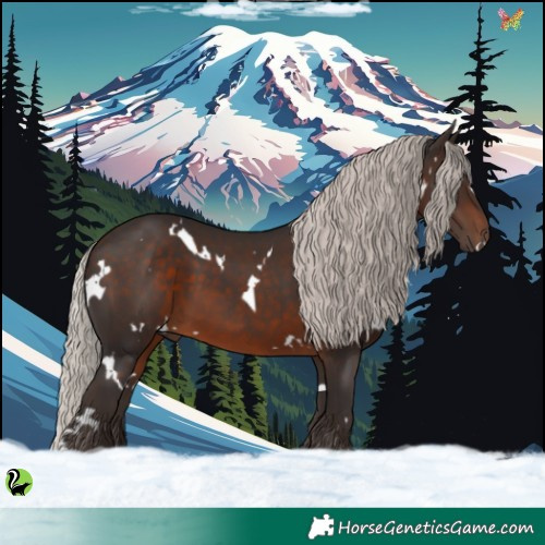 Horse Color:White Spotted Silver Brown 