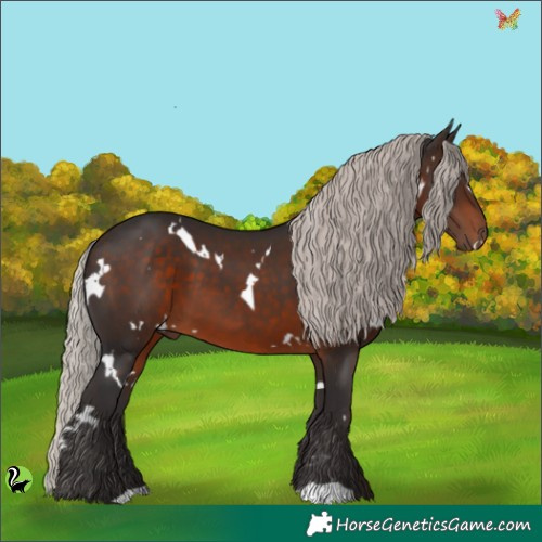 Horse Color:White Spotted Silver Brown 