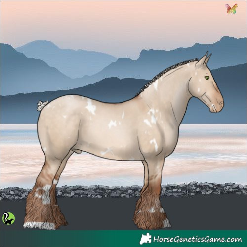 Horse Color:White Spotted Silver Brown Pearl Dun 