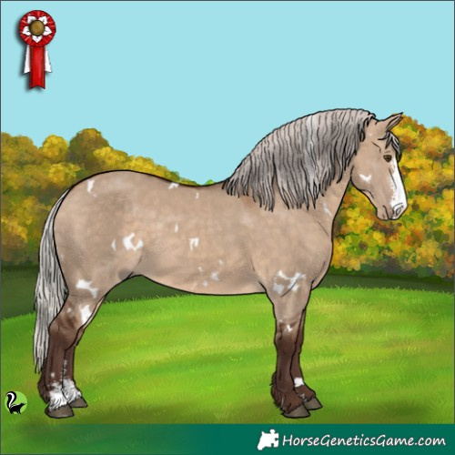 Horse Color:White Spotted Silver Brown Dun Sabino 