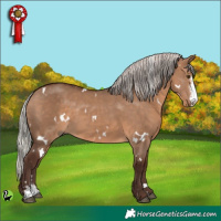 Horse Color:White Spotted Silver Brown Dun Sabino 