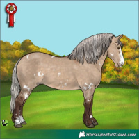 Horse Color:White Spotted Silver Brown Dun Sabino