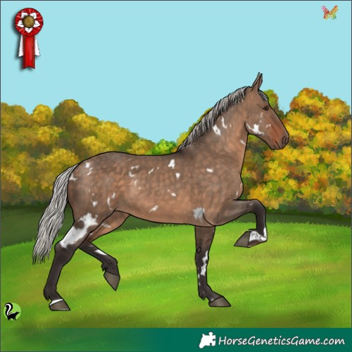 Horse Color:White Spotted Silver Brown Dun 