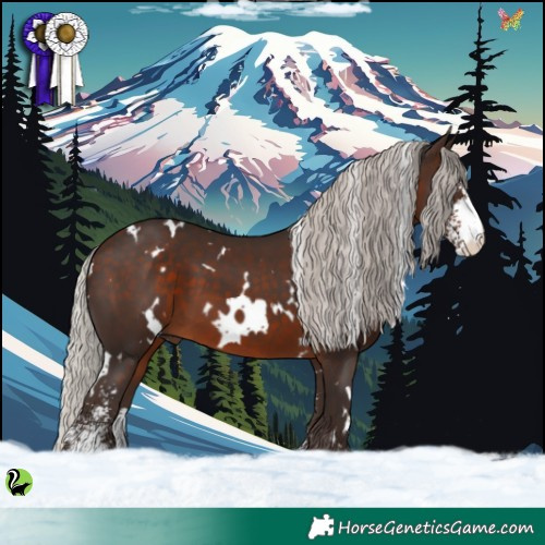 Horse Color:White Spotted Silver Brown Sabino 