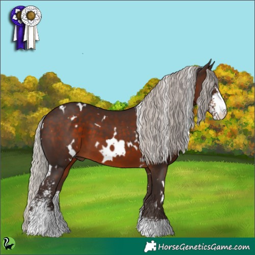 Horse Color:White Spotted Silver Brown Sabino 