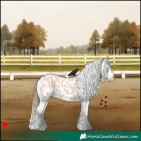 Horse Color:White Spotted Red Dun Blanket Rabicano 
