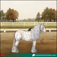 Horse Color:White Spotted Red Dun Appaloosa Rabicano 