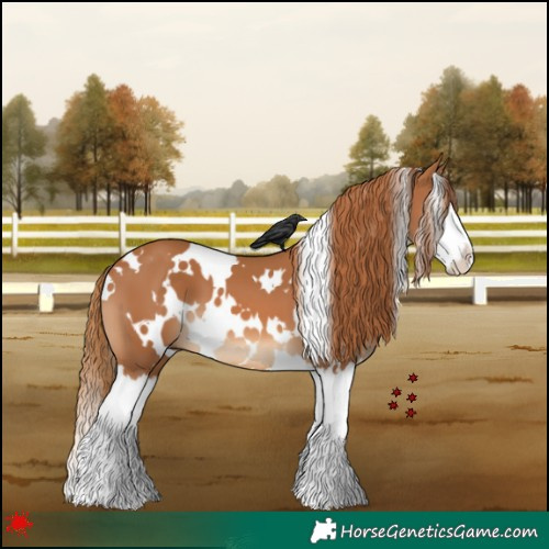 Horse Color:White Spotted Chestnut Splash