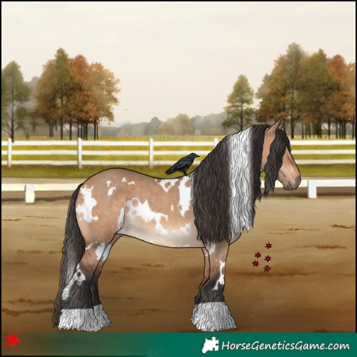 Horse Color:White Spotted Bay Dun Rabicano 