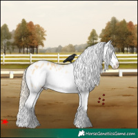 Horse Color:White Spotted Palomino Roan Dun Splash Frame Appaloosa