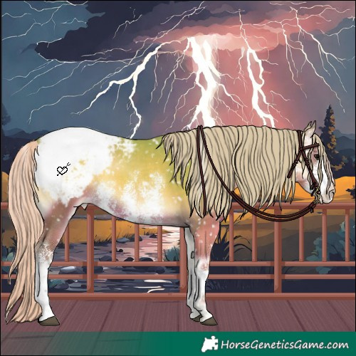 Horse Color:Watercolor White Spotted Silver Blue Onyx Appaloosa 