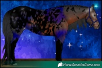 Horse Color:Gray Void White Spotted Liver Chestnut Tobiano Blanket 