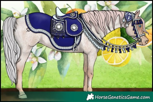 Horse Color:Watercolor White Spotted Silver Buckskin Roan Pearl