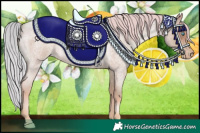 Horse Color:Watercolor White Spotted Silver Buckskin Roan Pearl 
