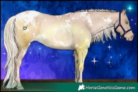 Horse Color:White Spotted Chocolate Palomino Pearl Appaloosa Rabicano 