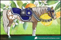 Horse Color:White Spotted Silver Buckskin Appaloosa 